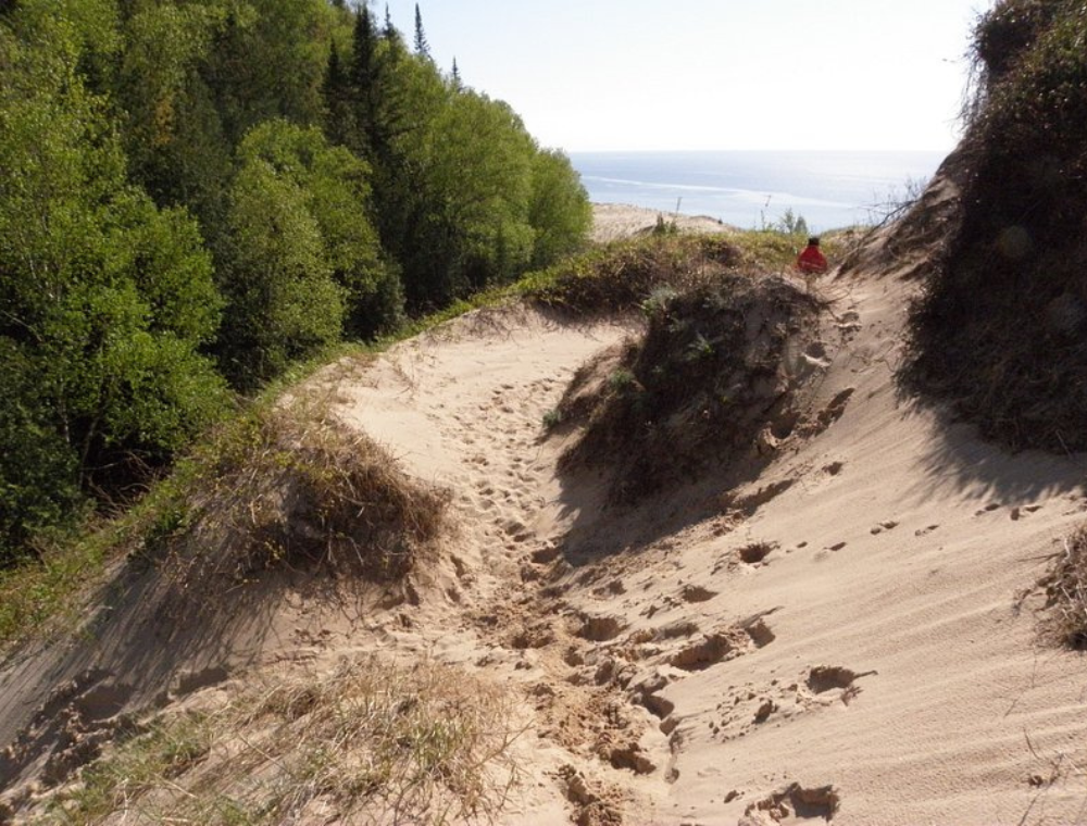 Arcadia Dunes