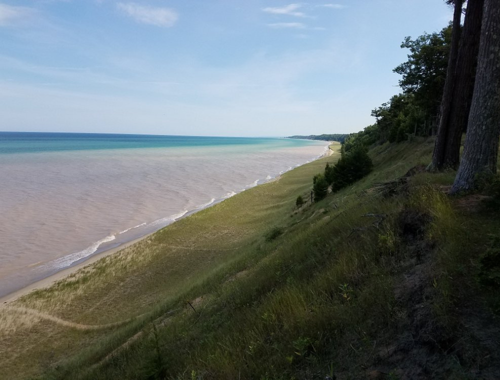 Magoon Creek Park