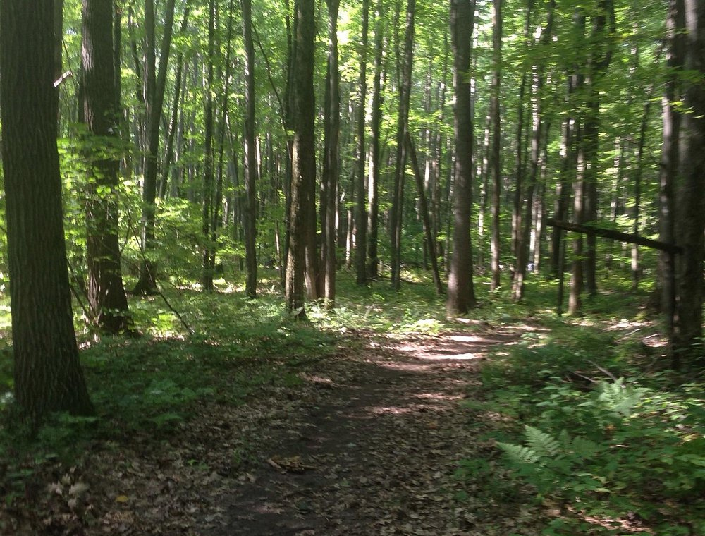 North Country Trail
